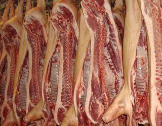 Виробництво свинини наприкінці року вибереться з кризи